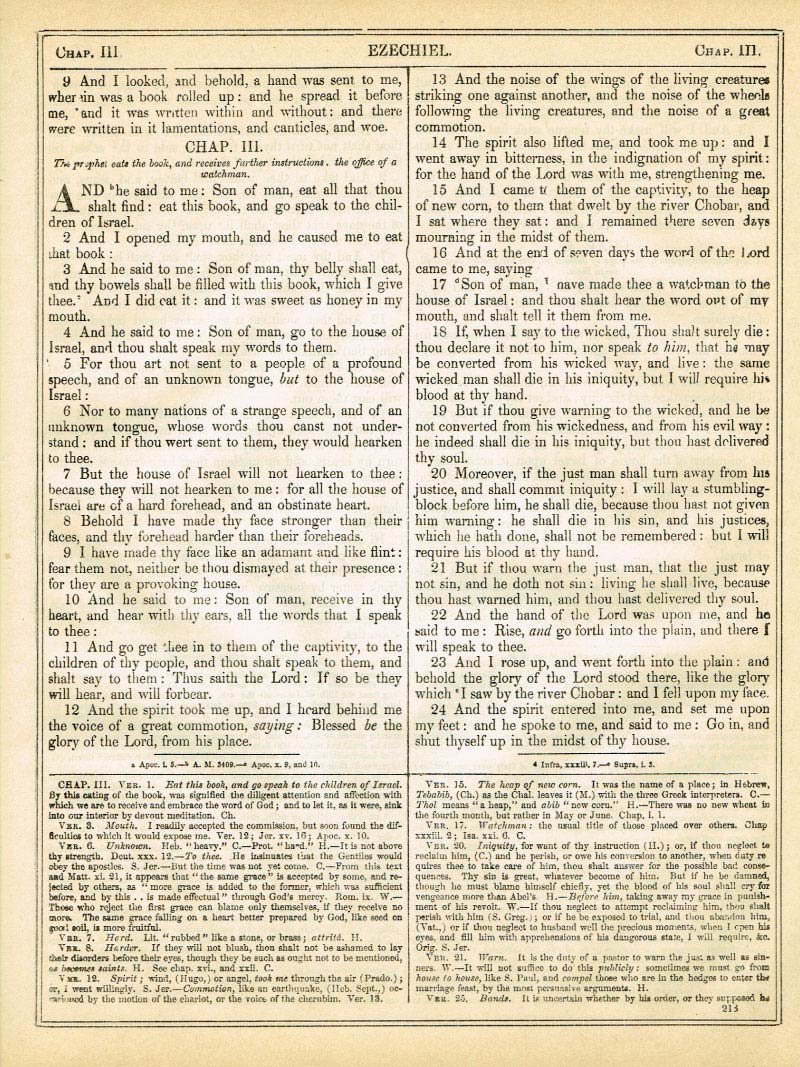 The Haydock Douay Rheims Bible page 1239