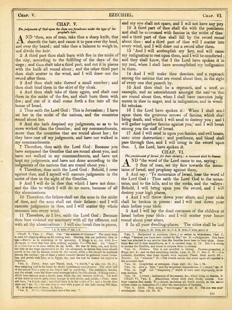 The Haydock Douay Rheims Bible page 1241