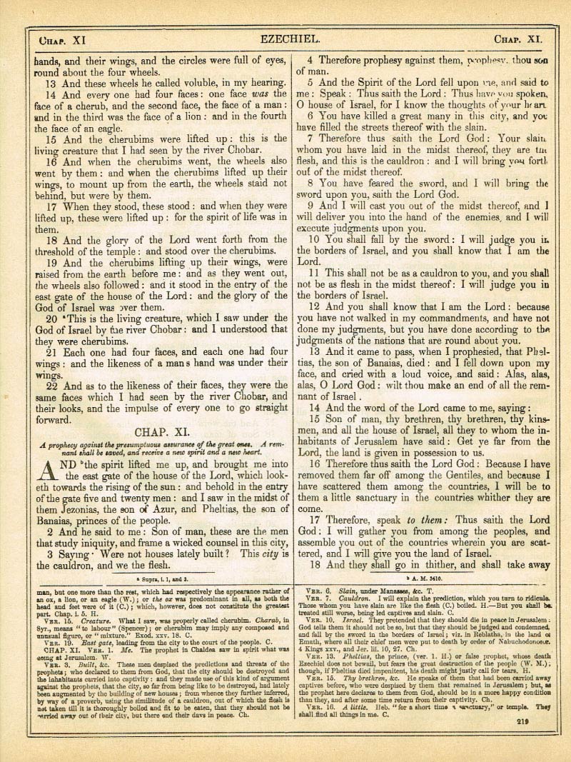 The Haydock Douay Rheims Bible page 1245