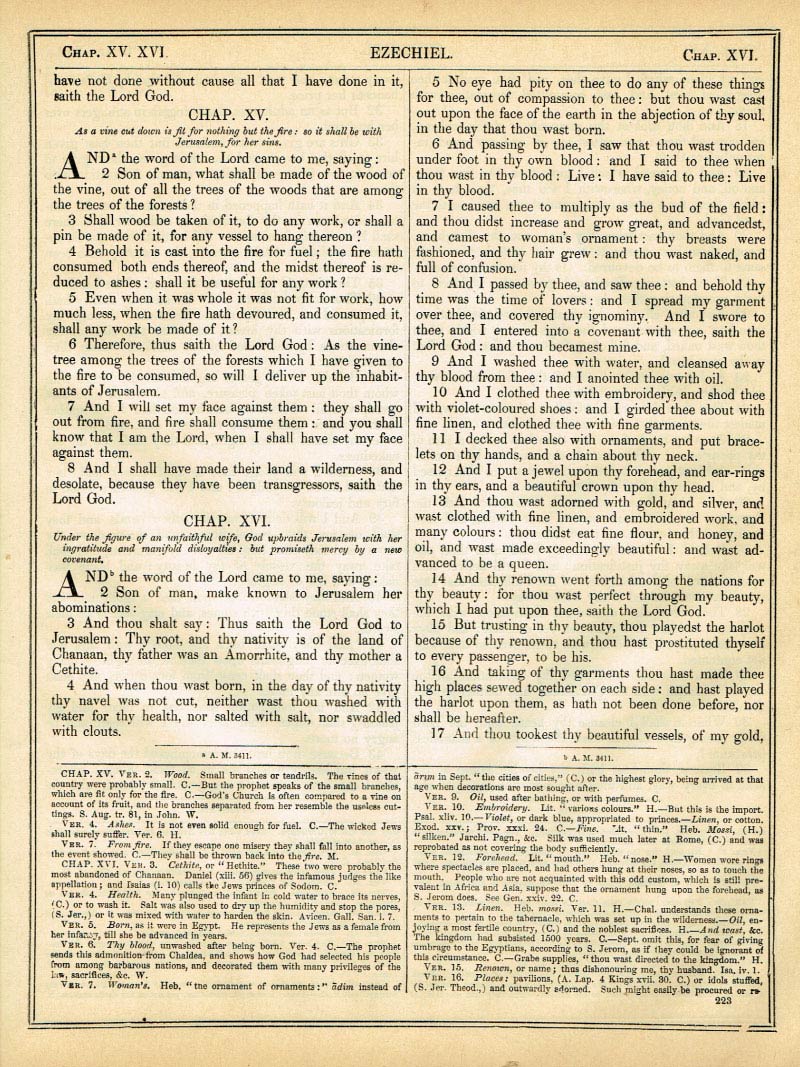 The Haydock Douay Rheims Bible page 1249