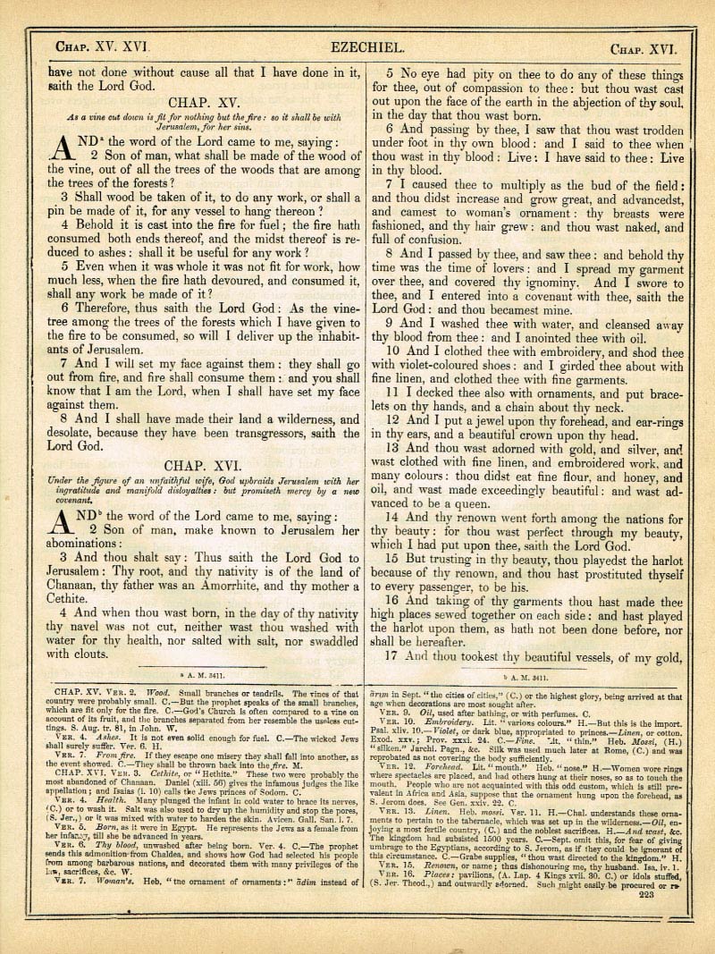 The Haydock Douay Rheims Bible page 0000