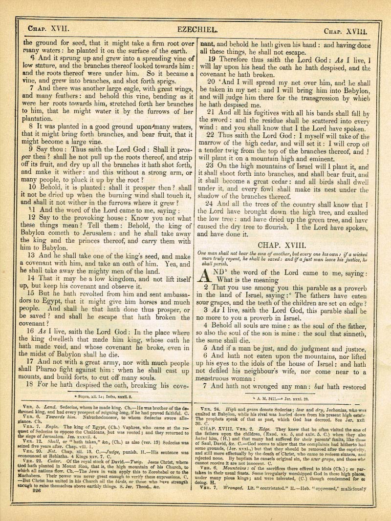 The Haydock Douay Rheims Bible page 1252