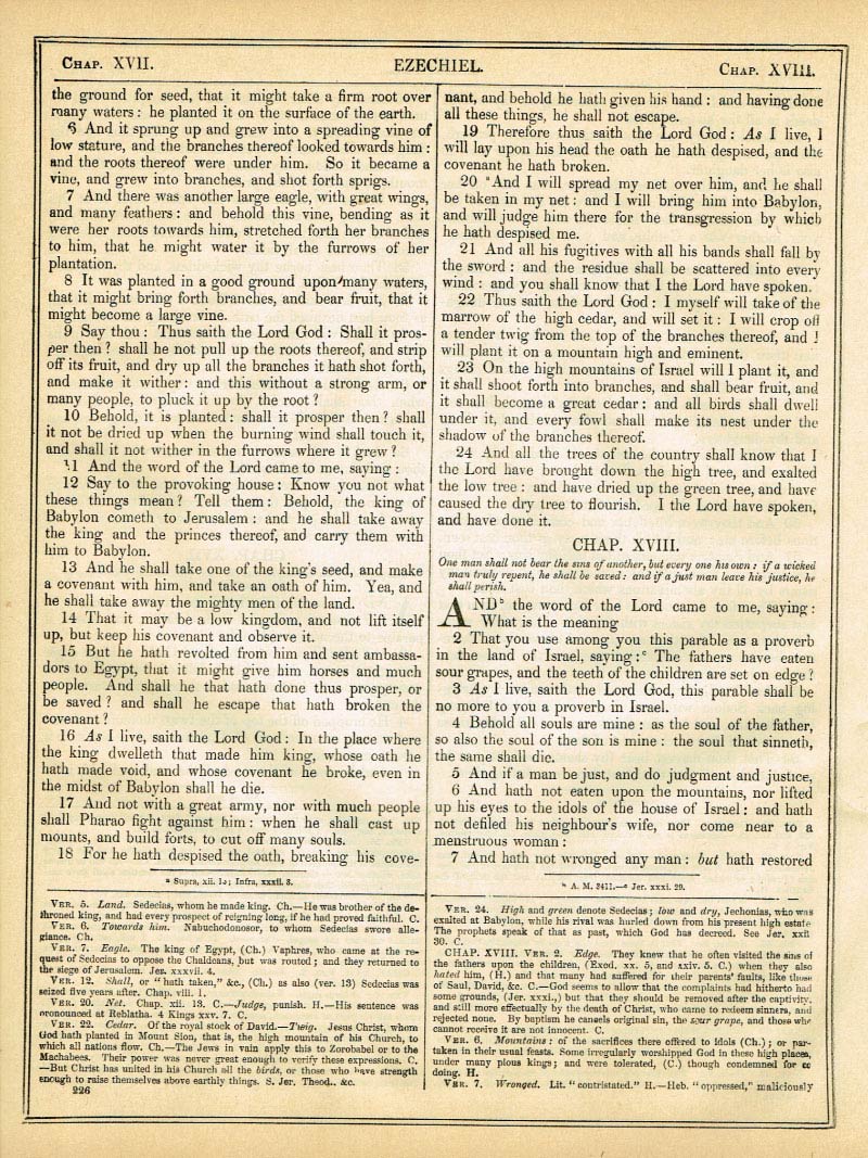 The Haydock Douay Rheims Bible page 0000