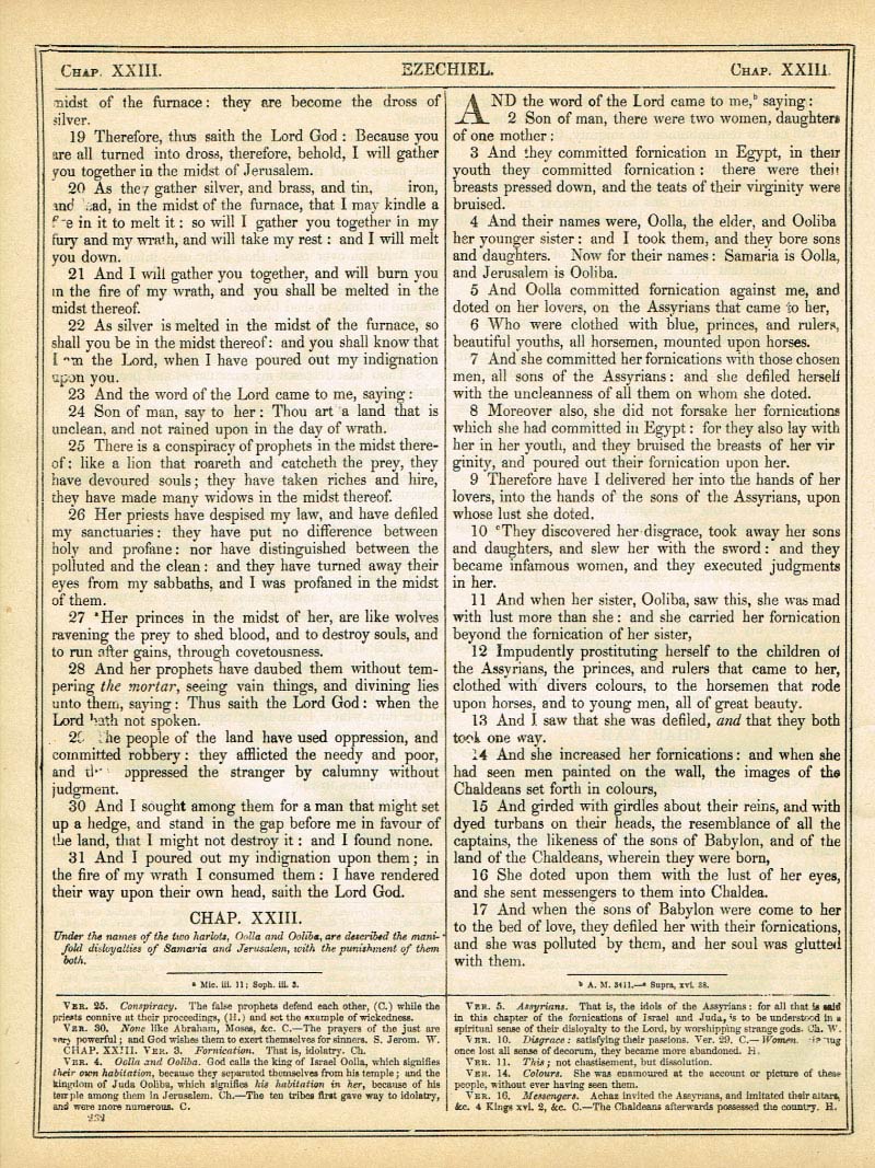 The Haydock Douay Rheims Bible page 1258