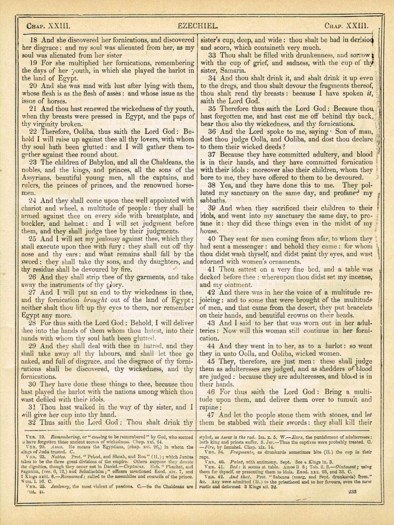 The Haydock Douay Rheims Bible page 1259