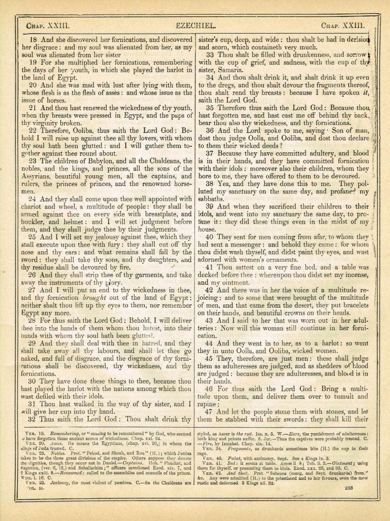 The Haydock Douay Rheims Bible page 0000