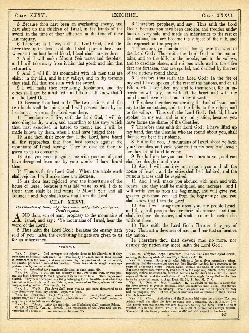 The Haydock Douay Rheims Bible page 1271