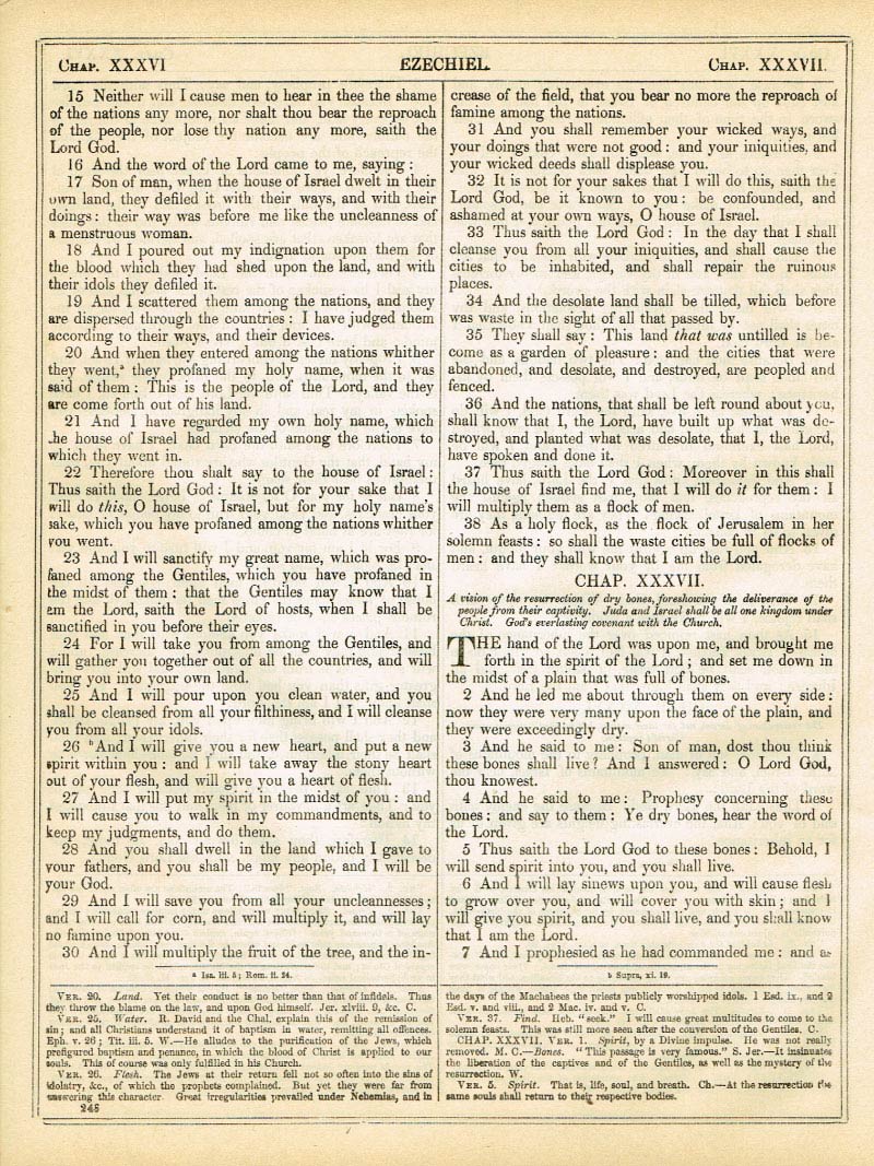 The Haydock Douay Rheims Bible page 0000