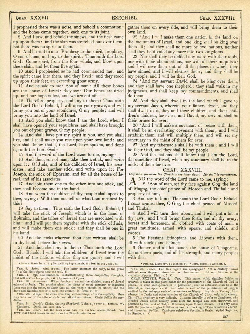 The Haydock Douay Rheims Bible page 1273