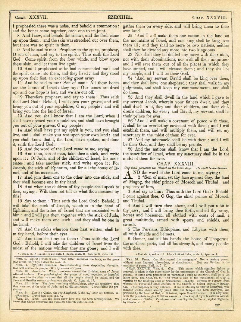 The Haydock Douay Rheims Bible page 0000