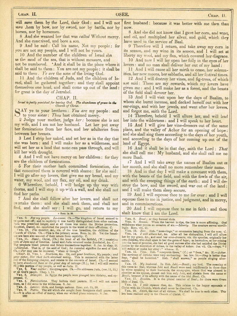 The Haydock Douay Rheims Bible page 1308