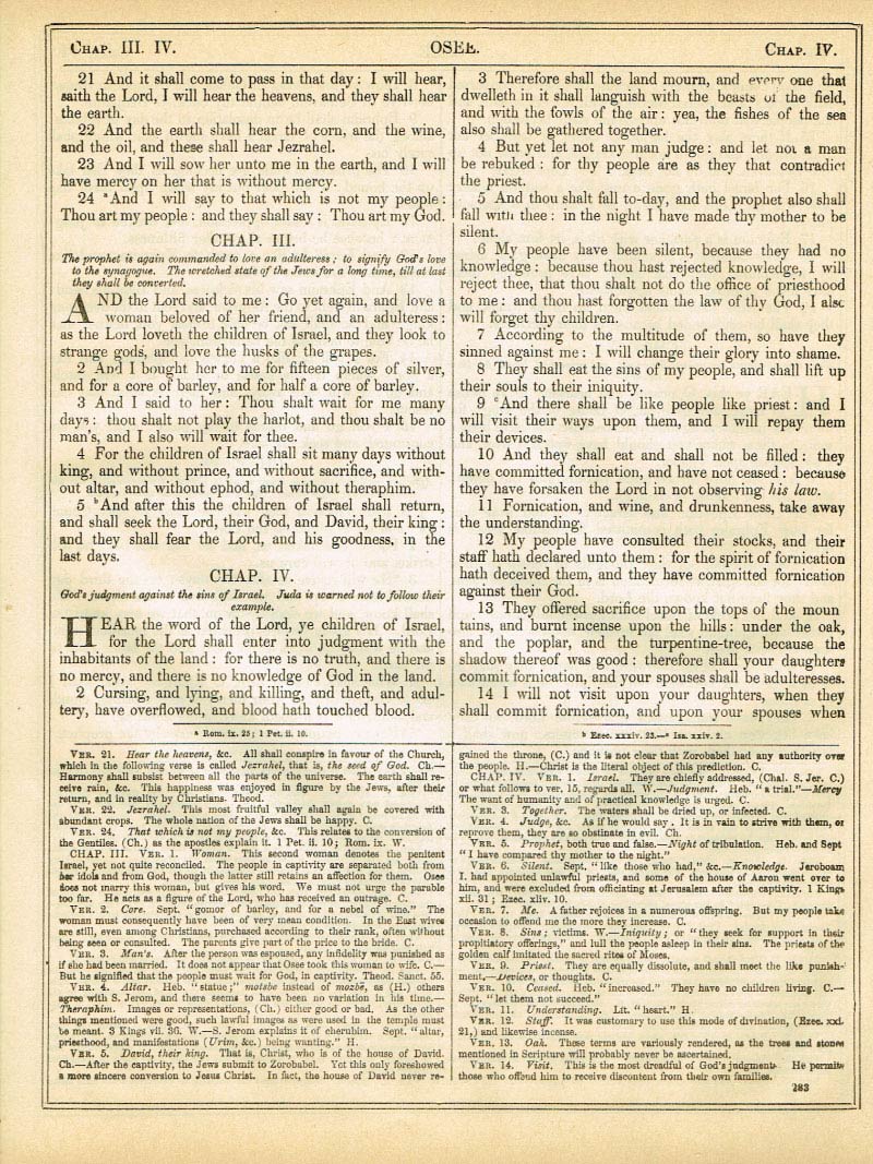 The Haydock Douay Rheims Bible page 1309
