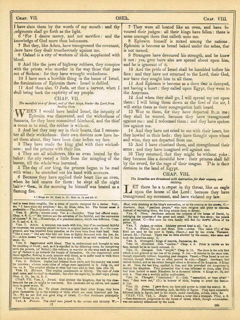 The Haydock Douay Rheims Bible page 0000