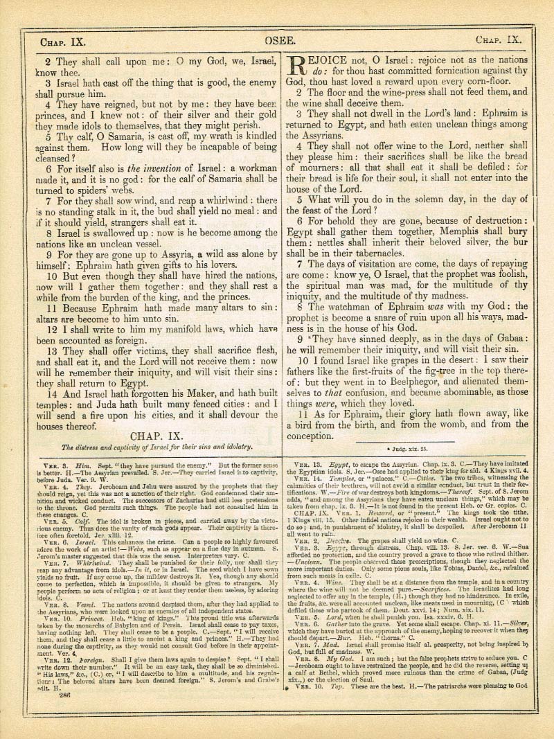 The Haydock Douay Rheims Bible page 1312