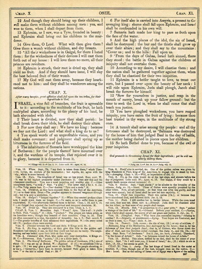 The Haydock Douay Rheims Bible page 1313