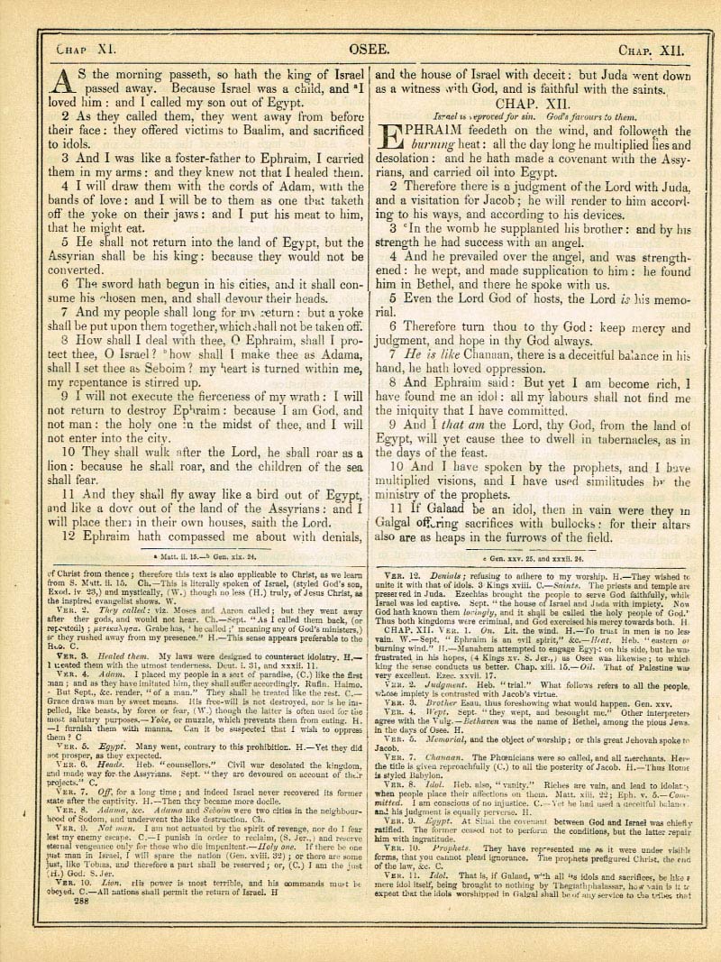 The Haydock Douay Rheims Bible page 1314