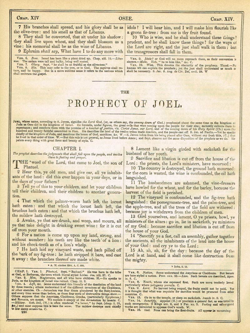 The Haydock Douay Rheims Bible page 0000