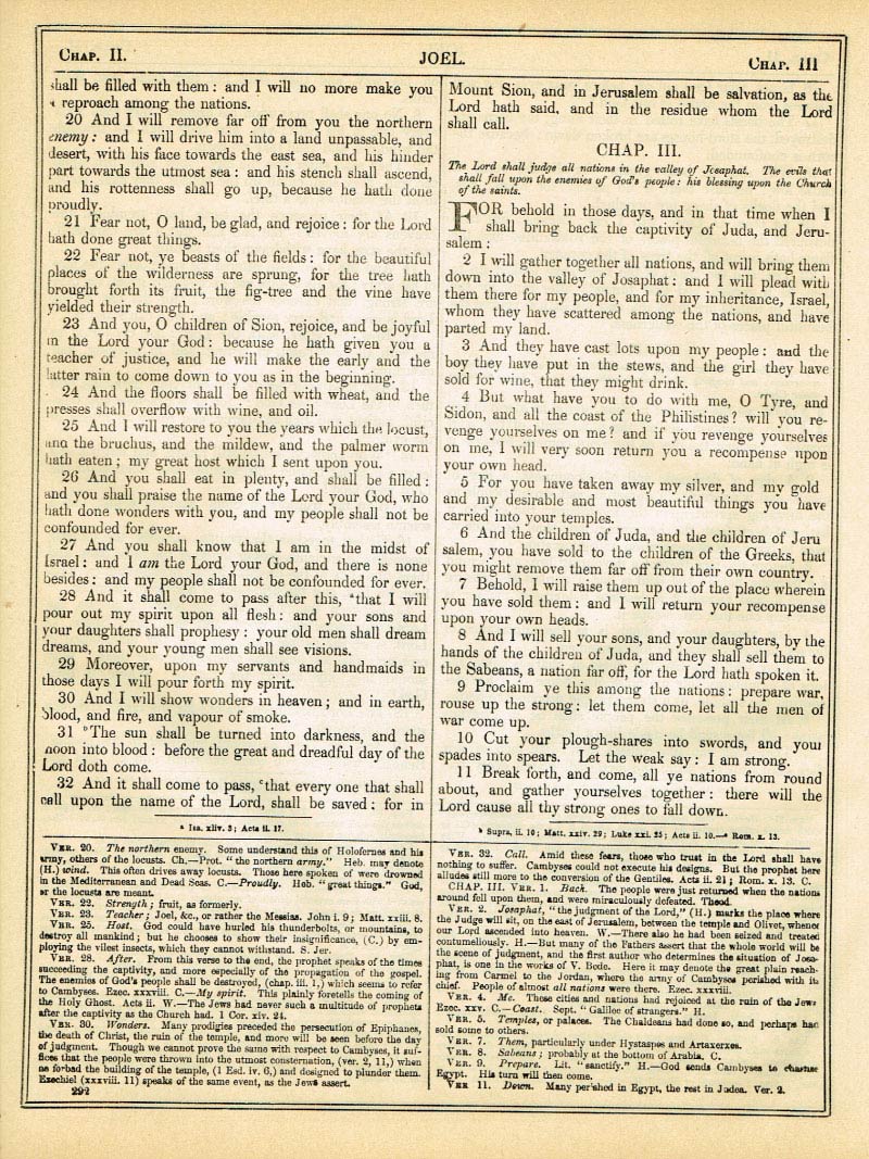 The Haydock Douay Rheims Bible page 1318