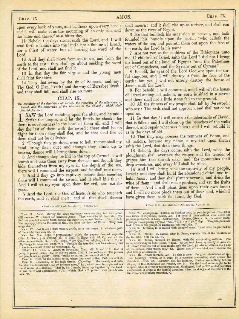 The Haydock Douay Rheims Bible page 1325