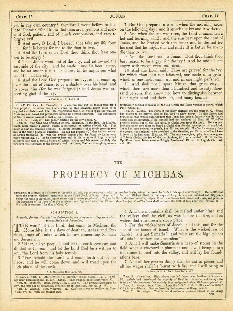 The Haydock Douay Rheims Bible page 1329