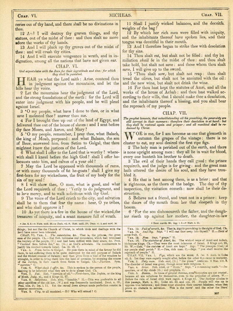 The Haydock Douay Rheims Bible page 1333