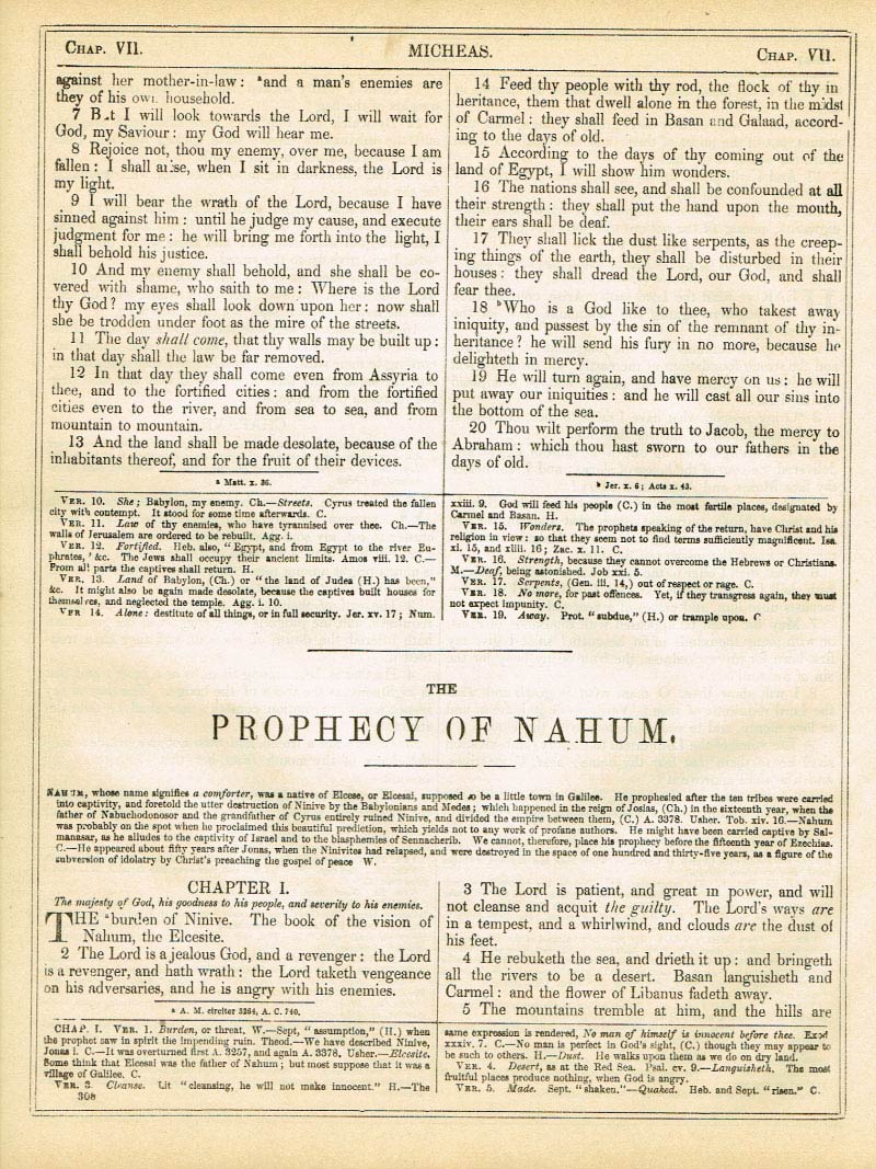 The Haydock Douay Rheims Bible page 1334