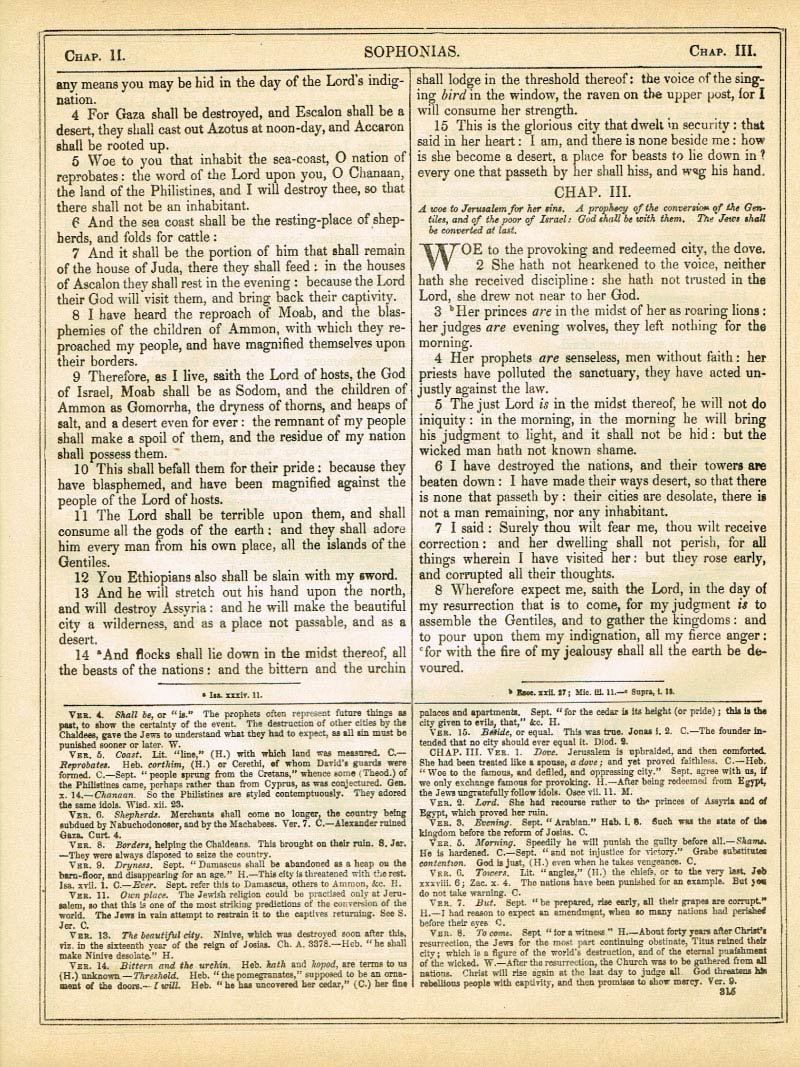 The Haydock Douay Rheims Bible page 1341
