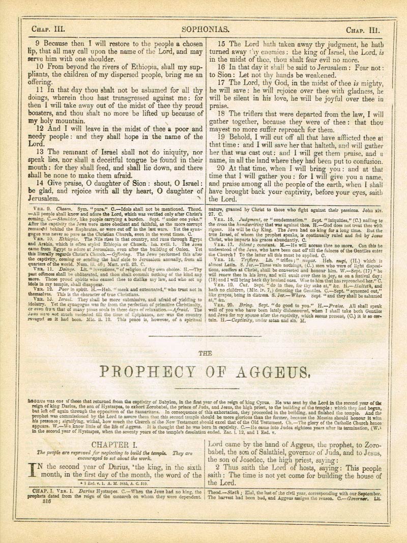 The Haydock Douay Rheims Bible page 1342
