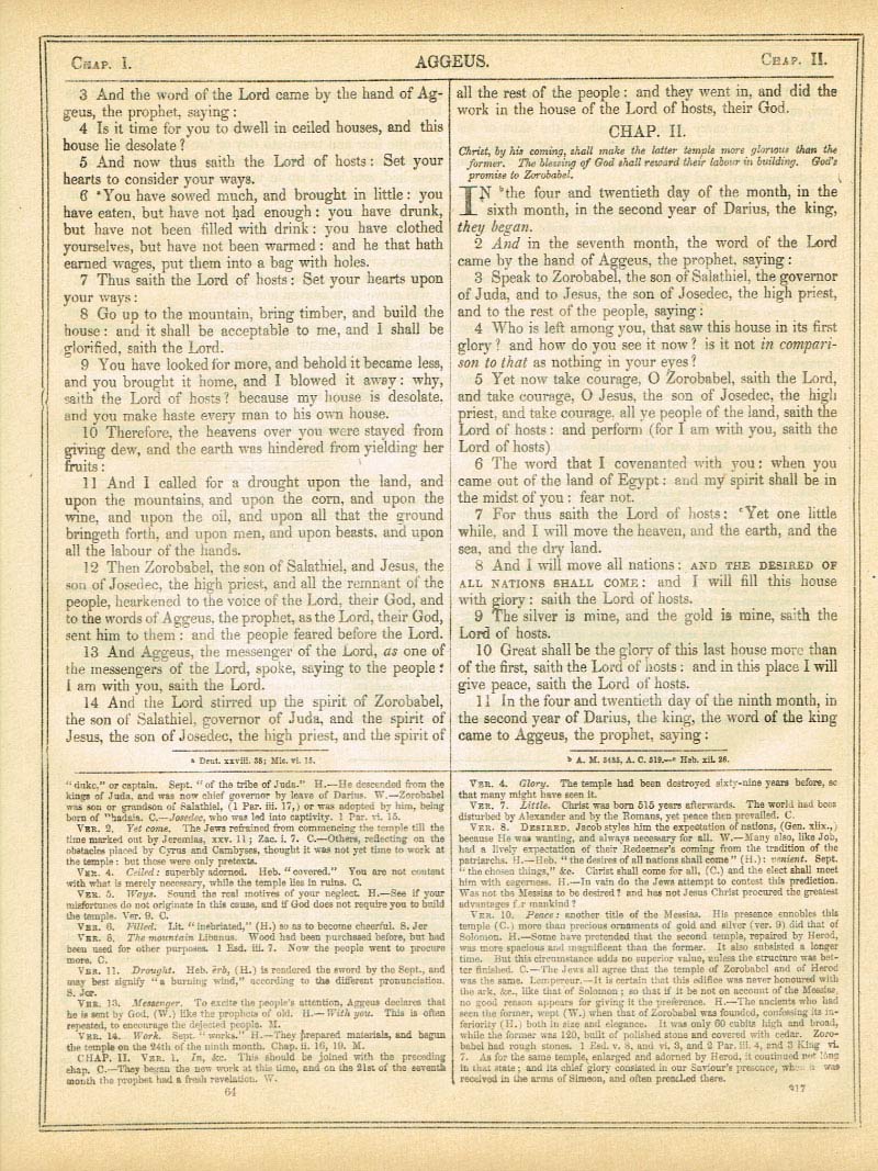 The Haydock Douay Rheims Bible page 1343