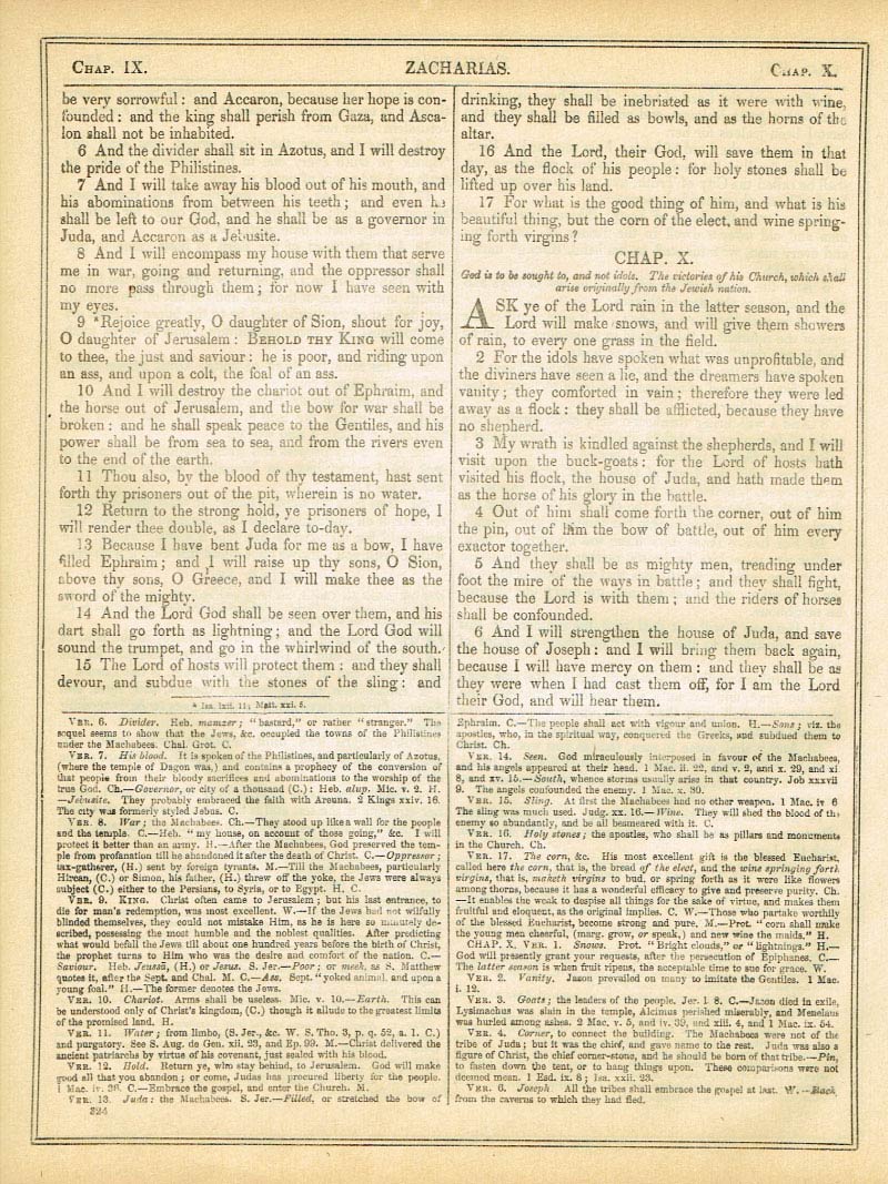 The Haydock Douay Rheims Bible page 1350