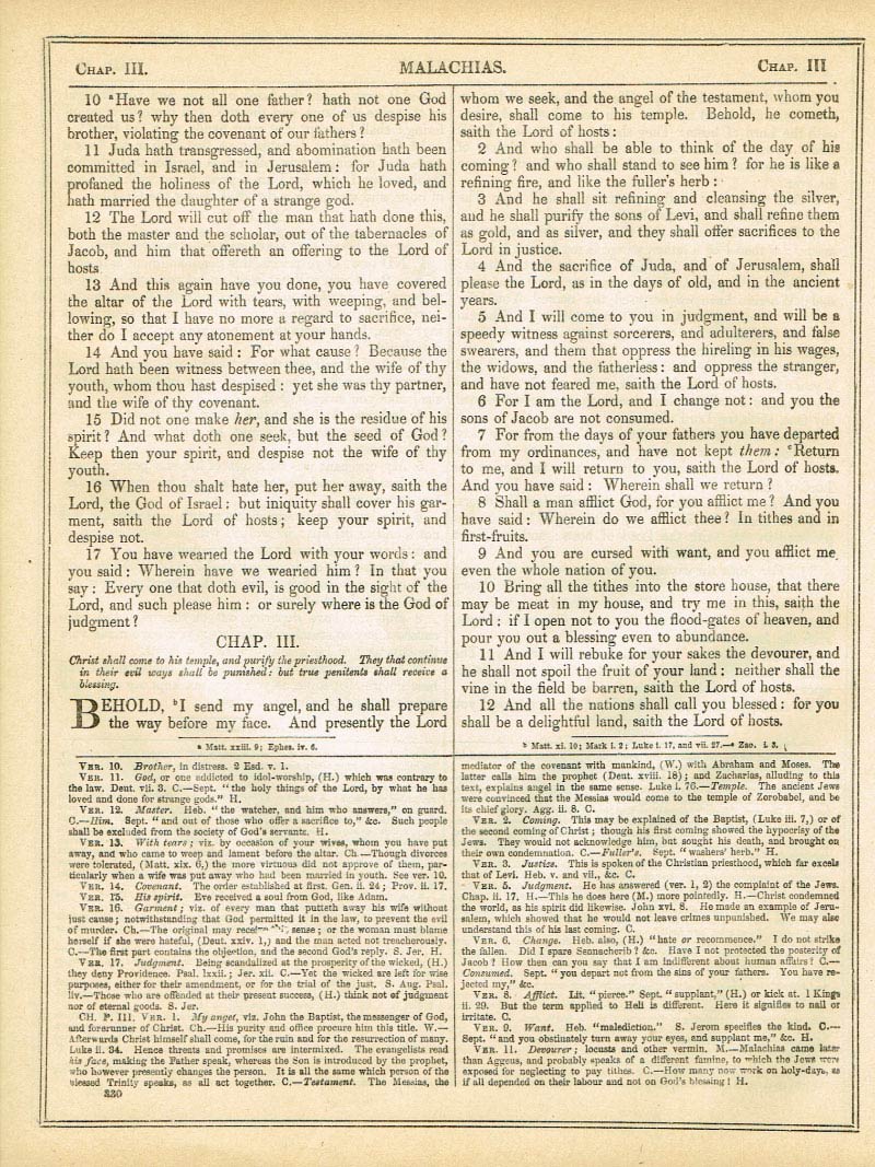 The Haydock Douay Rheims Bible page 1356