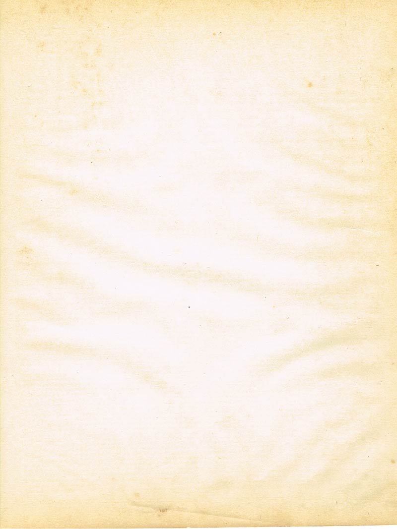 The Haydock Douay Rheims Bible page 1491
