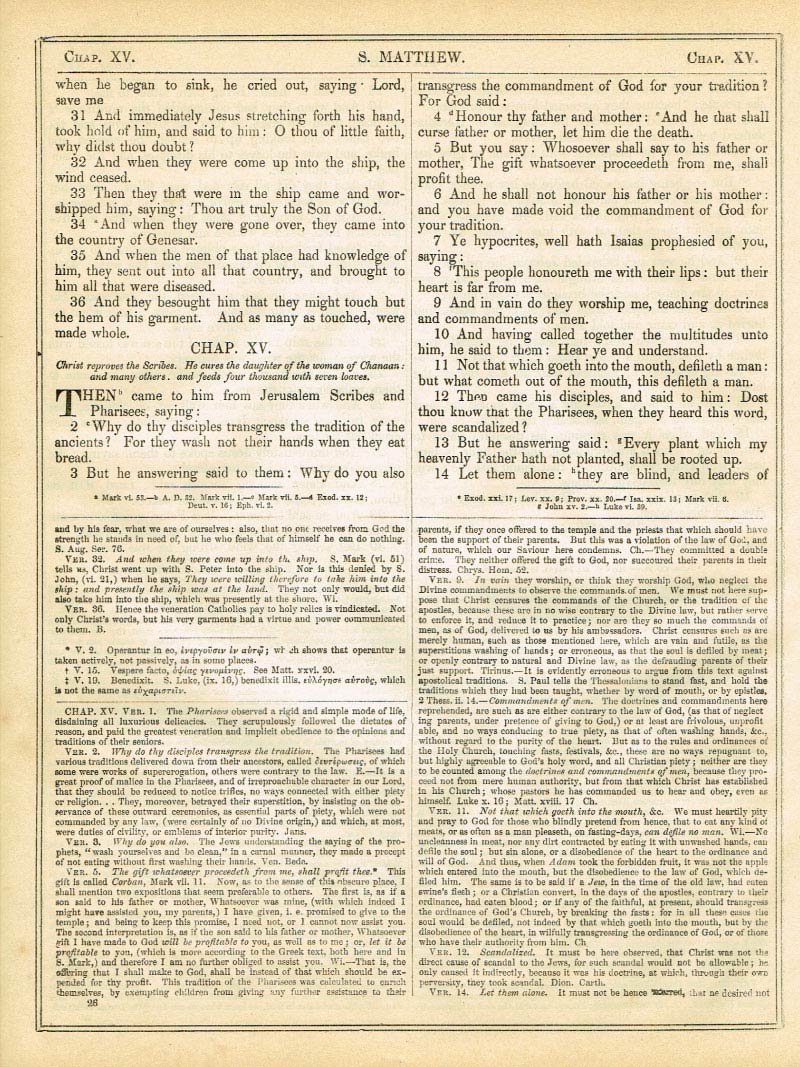 The Haydock Douay Rheims Bible page 1510