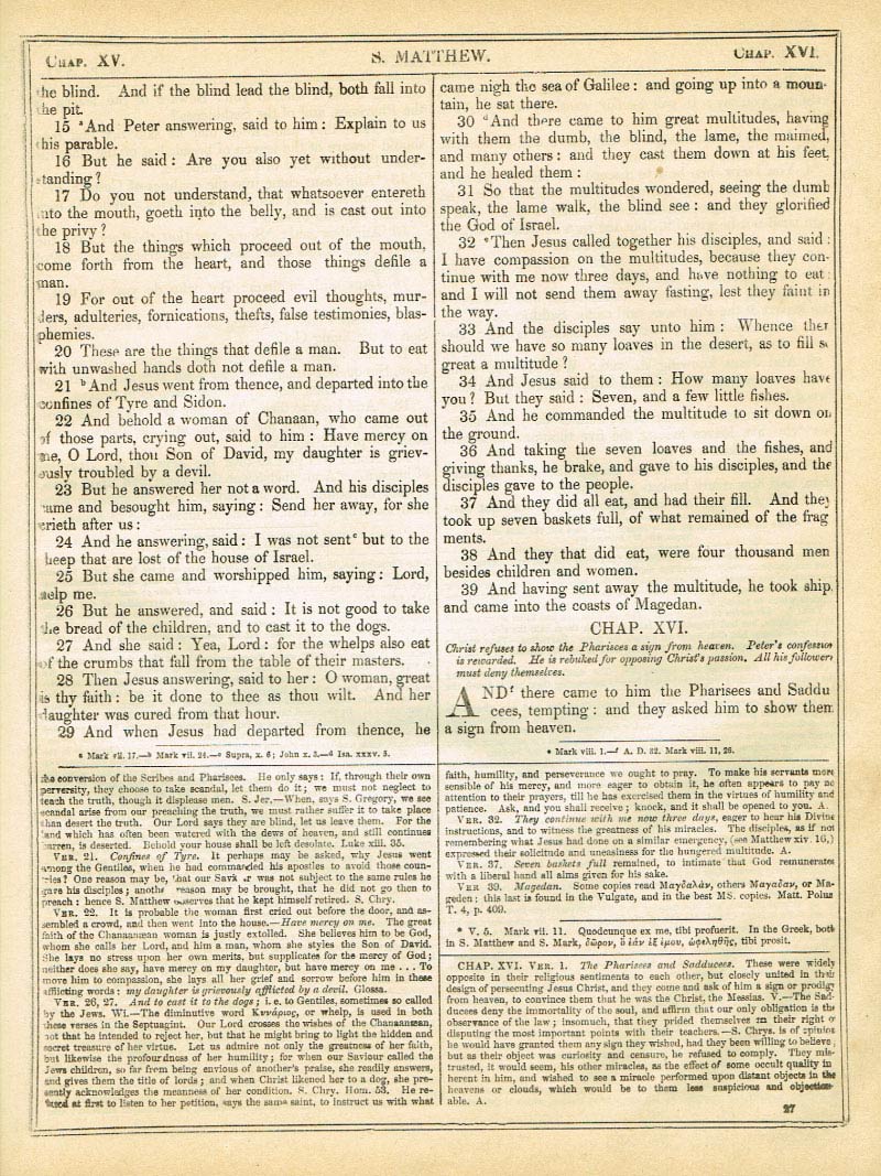 The Haydock Douay Rheims Bible page 1511