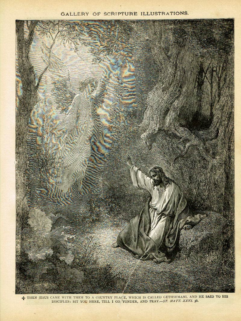 The Haydock Douay Rheims Bible page 0000