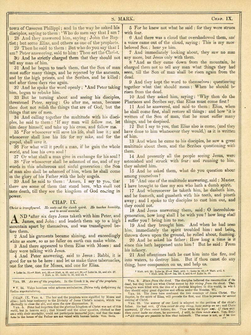 The Haydock Douay Rheims Bible page 1571