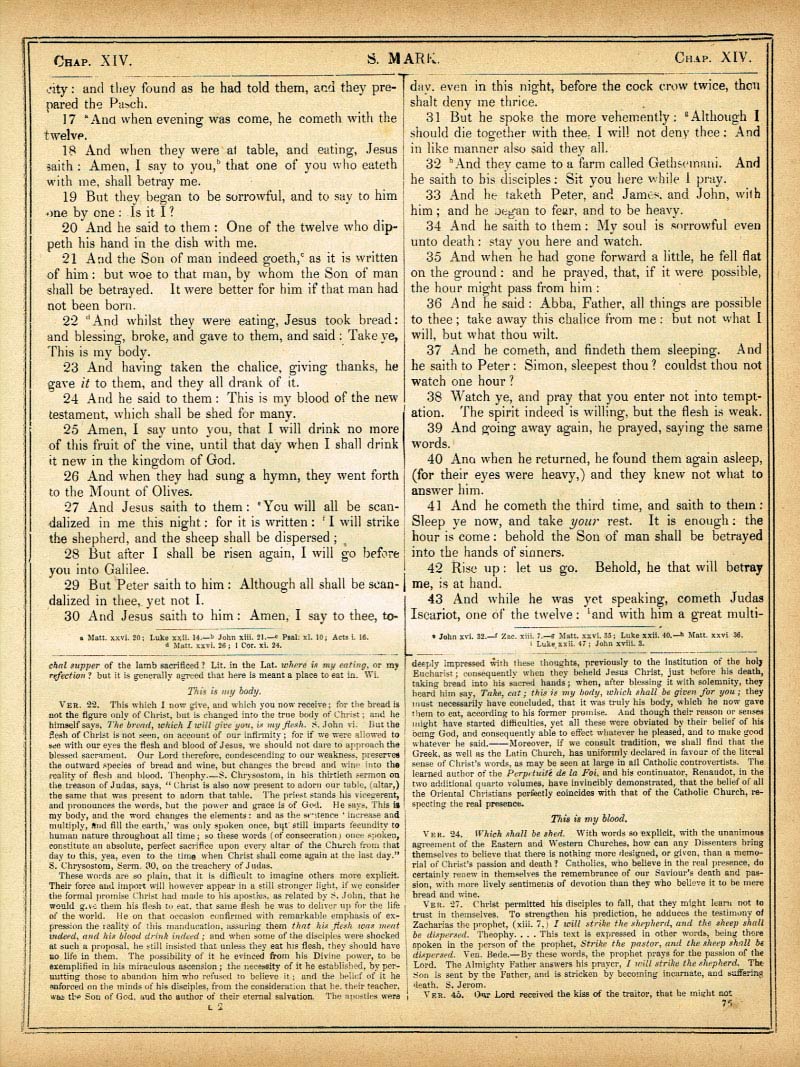 The Haydock Douay Rheims Bible page 1583