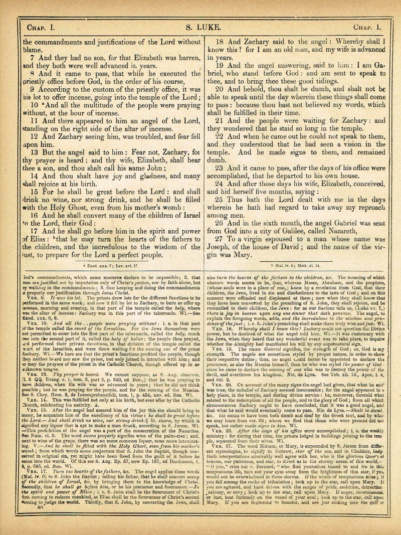 The Haydock Douay Rheims Bible page 1588
