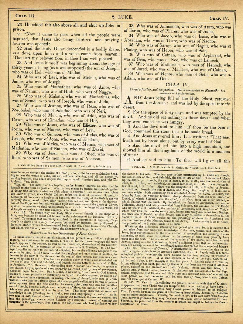 The Haydock Douay Rheims Bible page 1594
