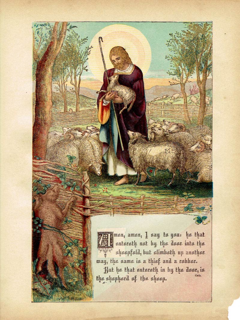 The Haydock Douay Rheims Bible page 0000
