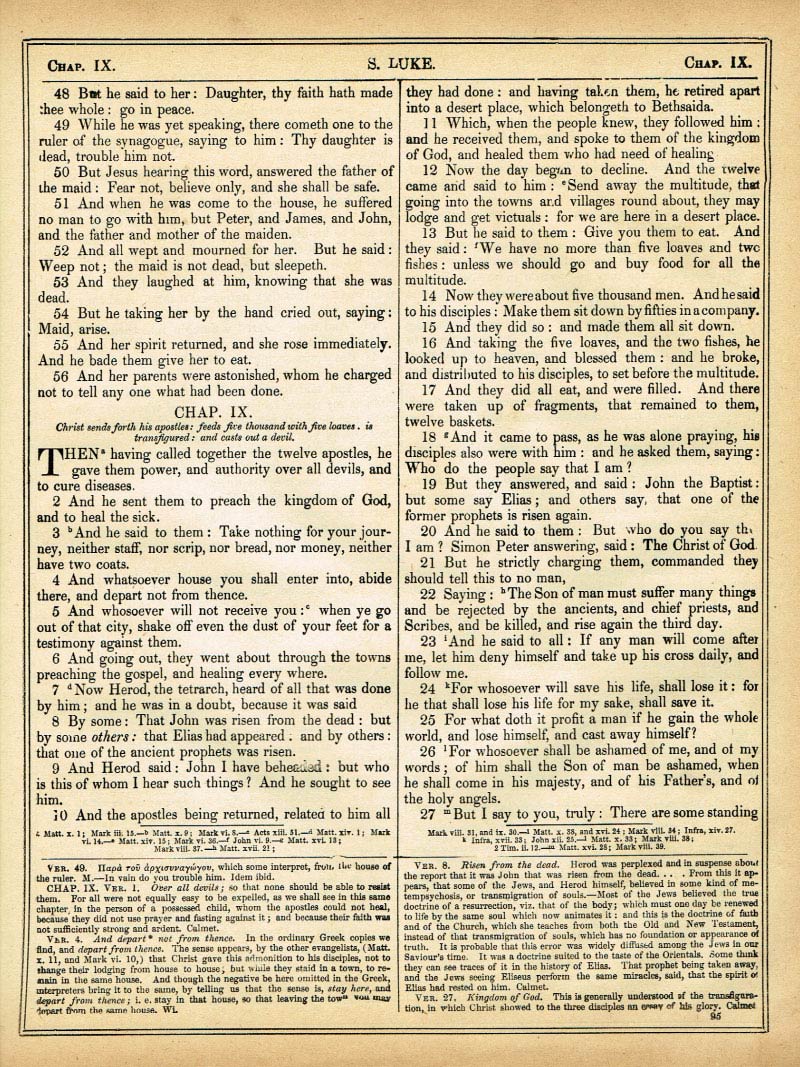 The Haydock Douay Rheims Bible page 1607