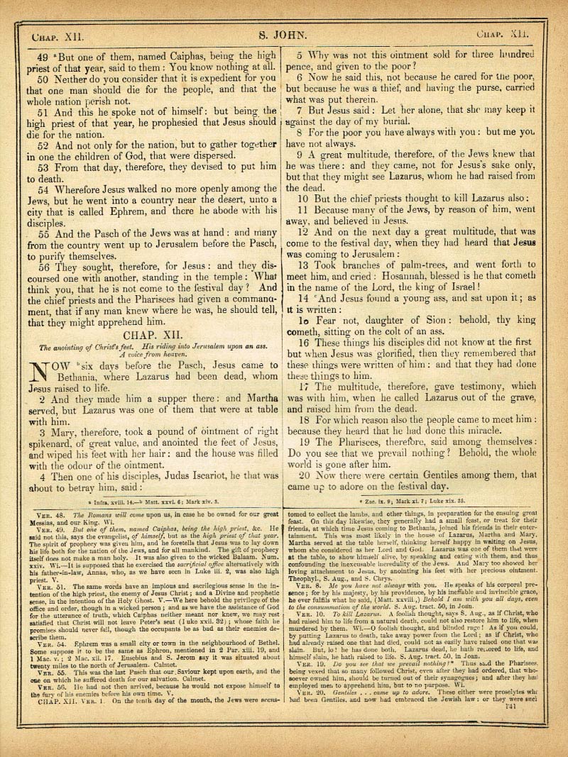 The Haydock Douay Rheims Bible page 0000