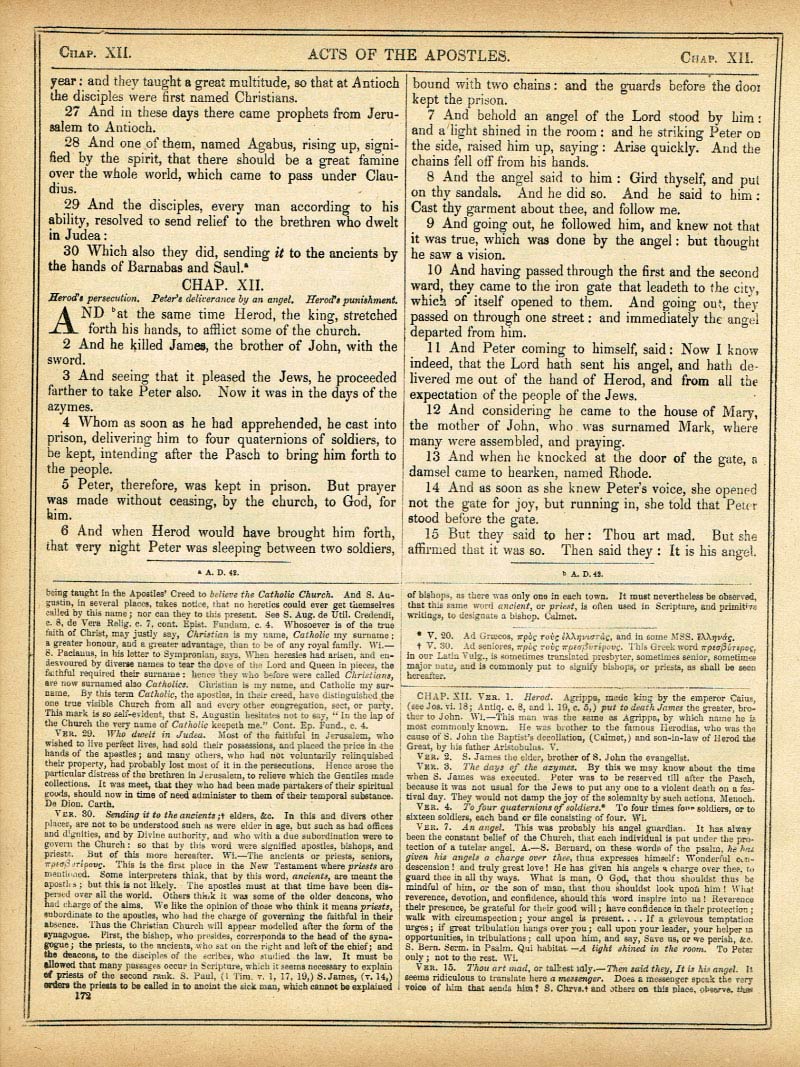 The Haydock Douay Rheims Bible page 1704
