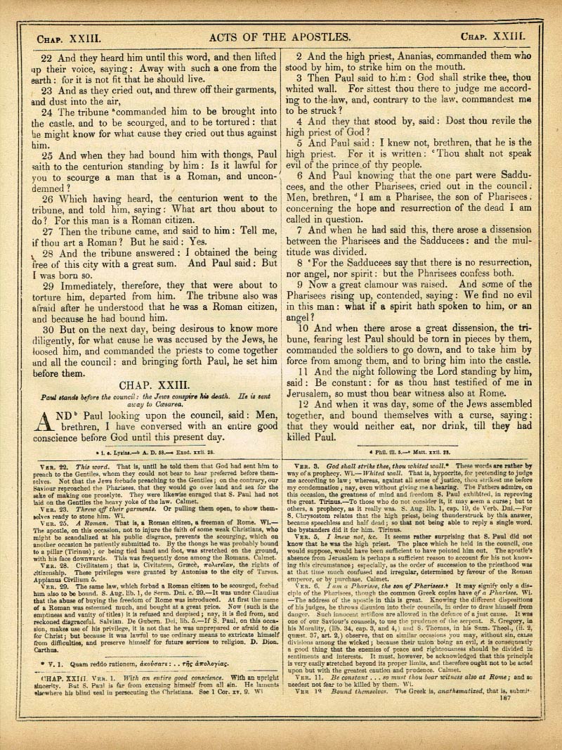 The Haydock Douay Rheims Bible page 1719