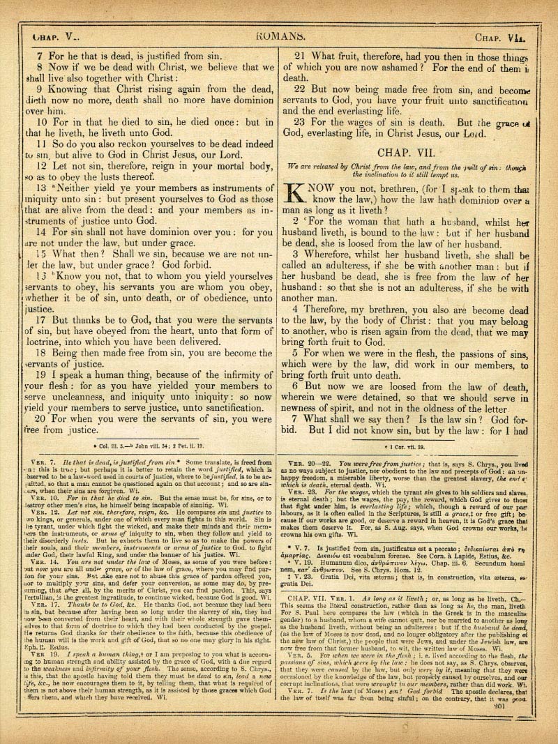 The Haydock Douay Rheims Bible page 1733