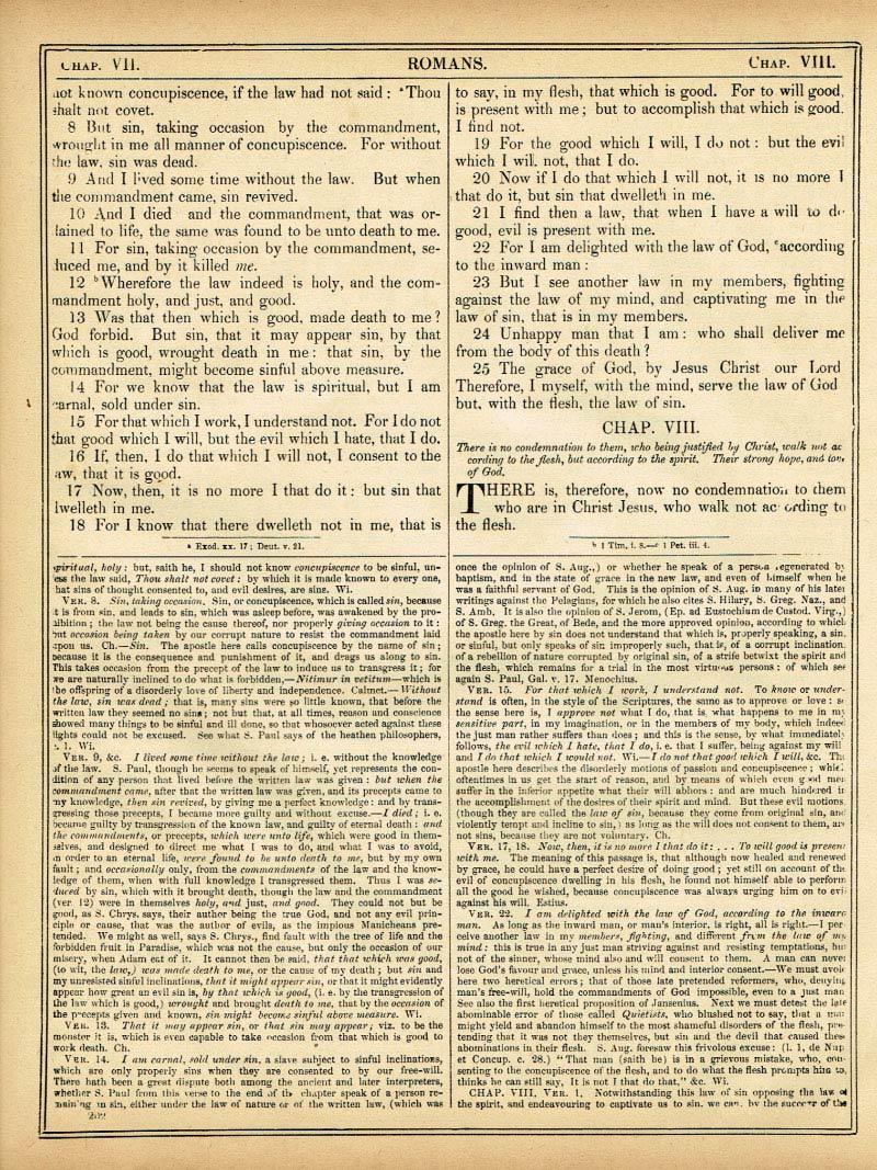 The Haydock Douay Rheims Bible page 1734