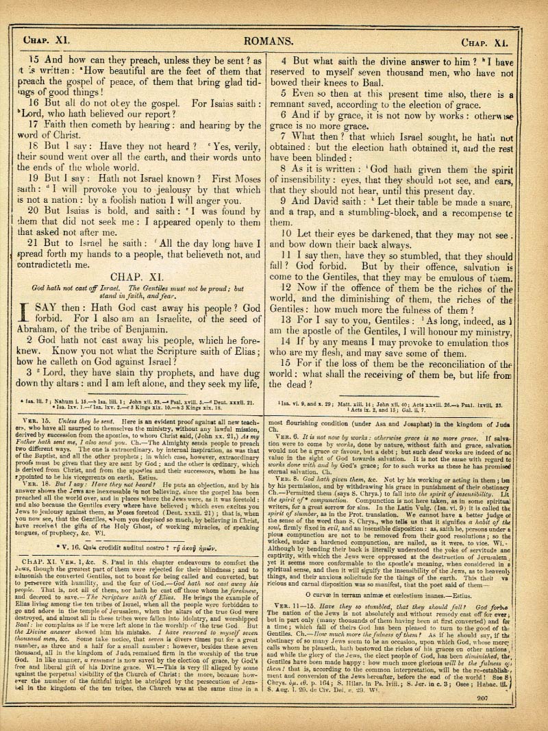 The Haydock Douay Rheims Bible page 1739