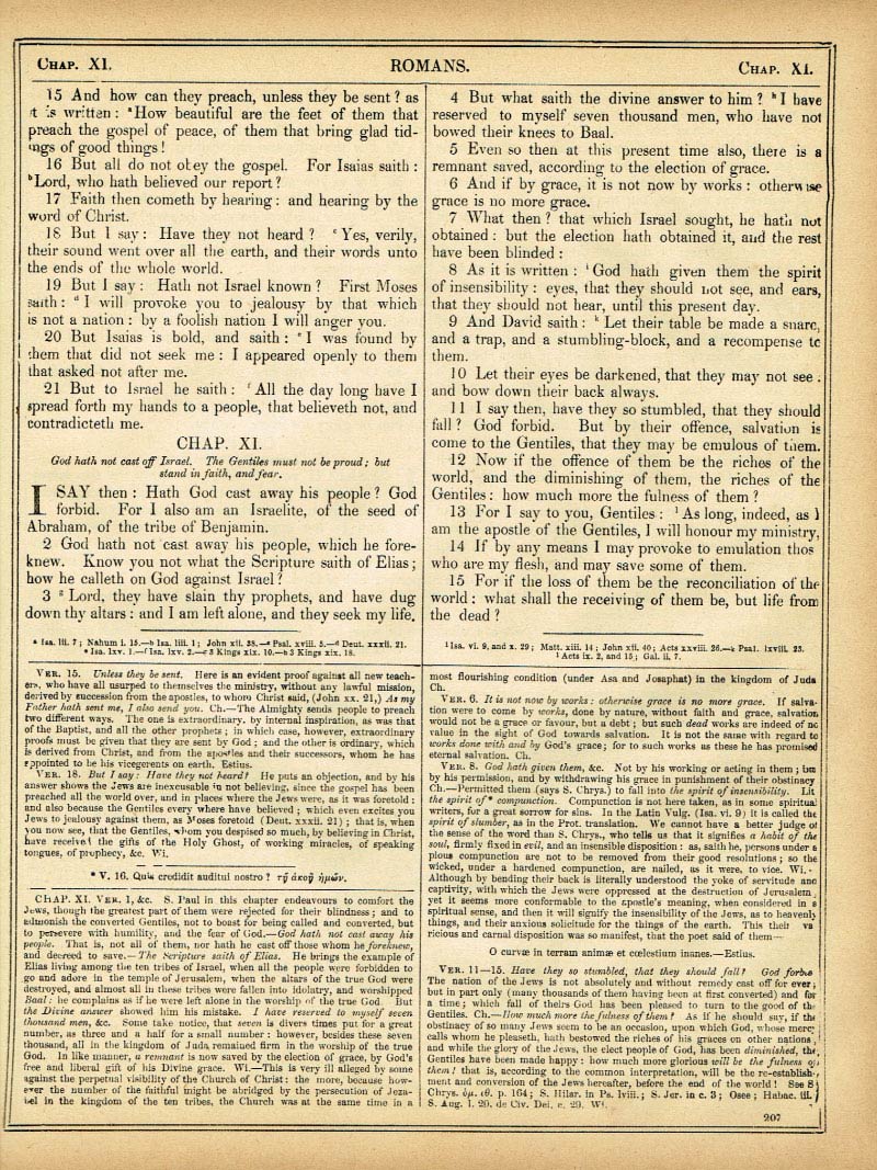 The Haydock Douay Rheims Bible page 0000