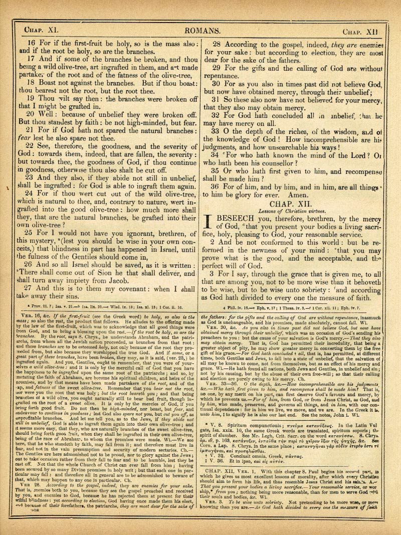The Haydock Douay Rheims Bible page 1740