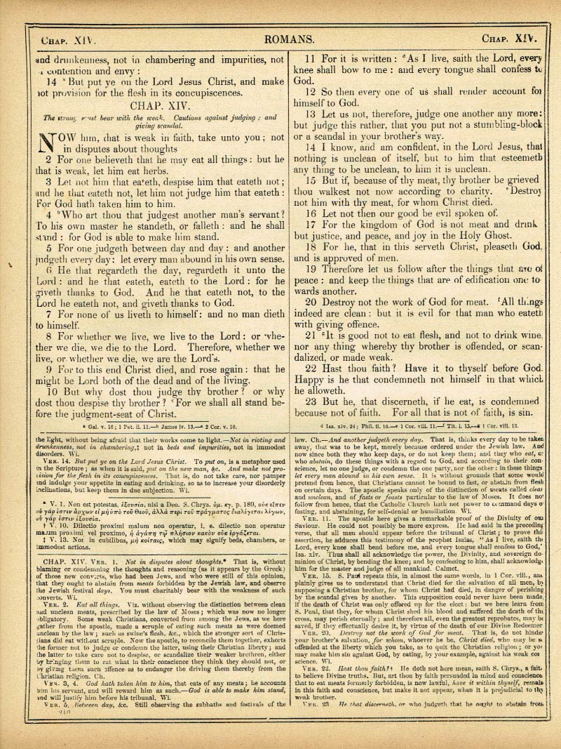 The Haydock Douay Rheims Bible page 1742